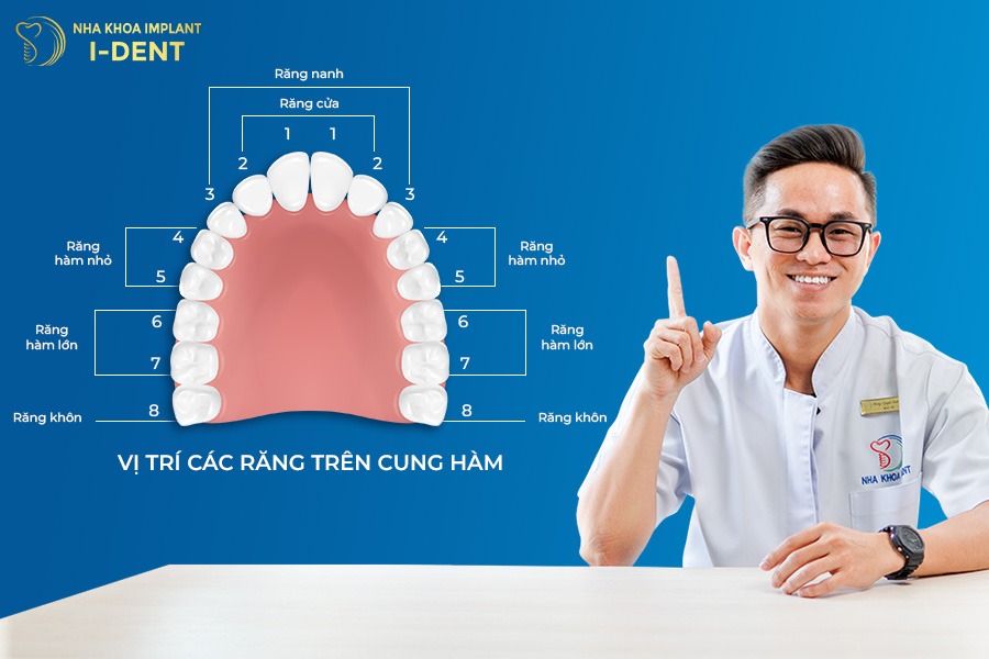không khuyến khích niềng 2 răng cửa