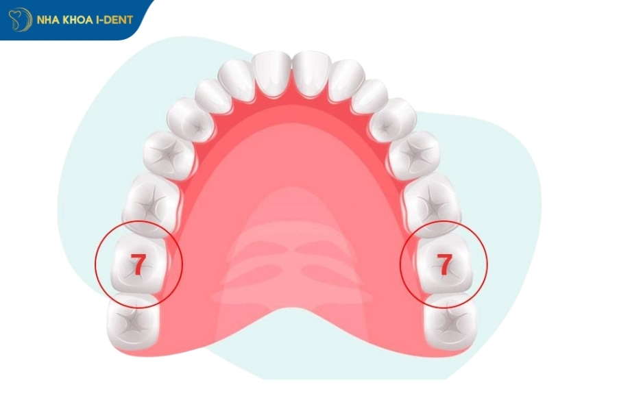 nhổ răng số 7 có nguy hiểm không