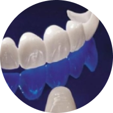 Bio Esthetic All-Ceramic Crown