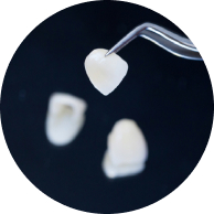 Veneer Lisi Press Ultra Thin